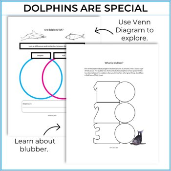 Unique STEAM Dolphin Activities | Life Cycle | Inspiring Biomimicry Adventures, image 3