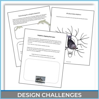 Unique STEAM Dolphin Activities | Life Cycle | Inspiring Biomimicry Adventures, image 4