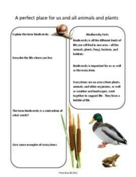 Unique Science Bundle | Biodiversity Dinosaur Space Climate Change Activities, image 3