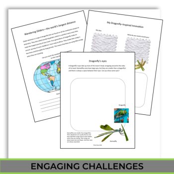 Unique STEAM Dragonfly Activities | Life Cycle | Inspiring Biomimicry Adventures, image 4