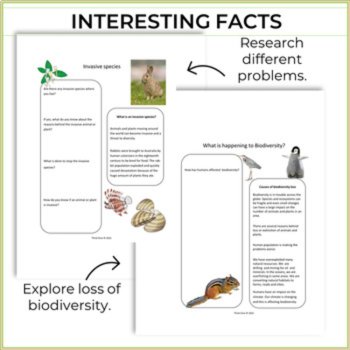 Engaging Environment Bundle | Biodiversity & Endangered Animals Activities, image 3