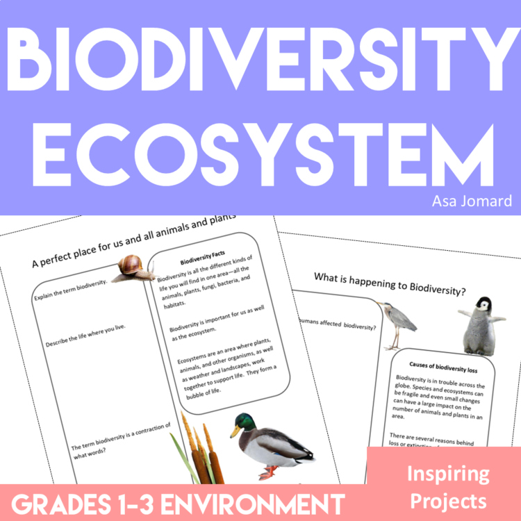 Engaging Biodiversity Project| Inspiring Ecosystem Activities