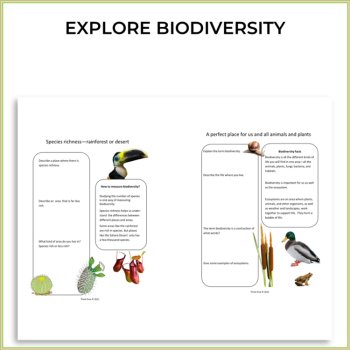 Engaging Biodiversity Project| Inspiring Ecosystem Activities, image 2
