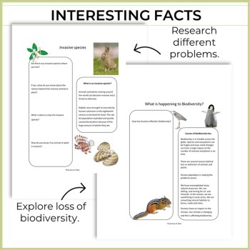 Engaging Biodiversity Project| Inspiring Ecosystem Activities, image 3
