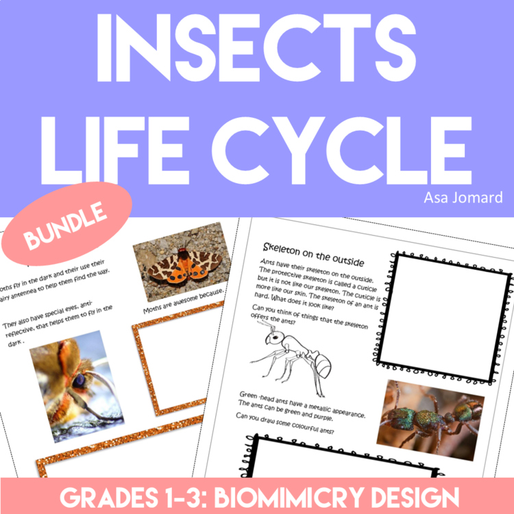 Unique Insect Bundle Life Cycle Projects | Inspiring Biomimicry Adventures