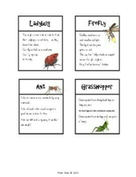 Fun Biomimicry Board Game | Inspiring Invention Quilt Activity, image 3