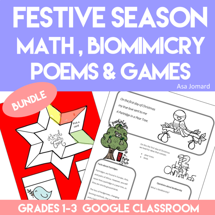 Fun Christmas Projects  Bundle | Engaging Math and Biomimicry Design Activities