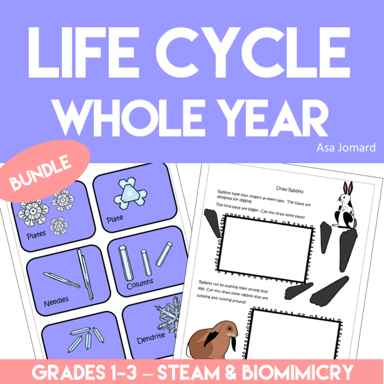 Engaging Life Cycle Whole Year Bundle  | Biomimicry Design & STEAM Activities