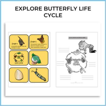Engaging Life Cycle Whole Year Bundle  | Biomimicry Design & STEAM Activities, image 2