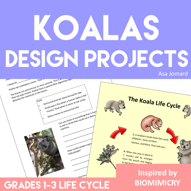 Engaging Koala Life Cycle Activities | Unique Biomimicry Design Thinking Project