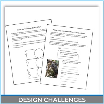 Engaging Koala Life Cycle Activities | Unique Biomimicry Design Thinking Project, image 4
