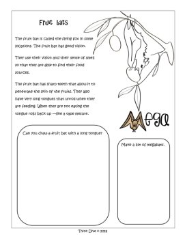 Science Bundle | Google Classroom™ Biomimicry Design Inspired by Nature, image 4