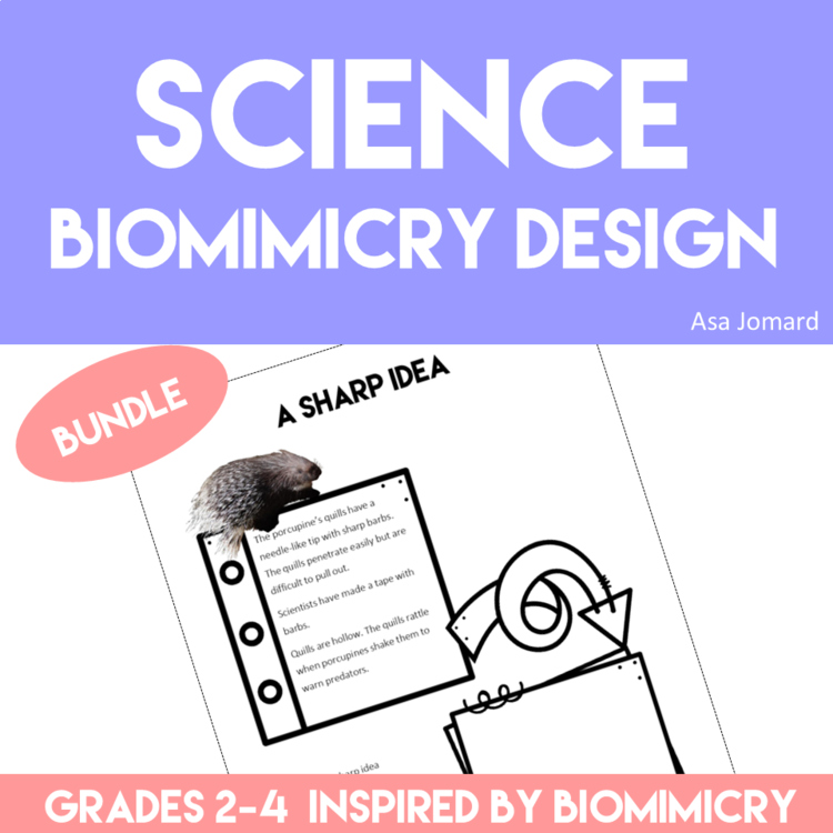 Engaging Fall/Autumn Activities Bundle | Fun Biomimicry Design Challenges