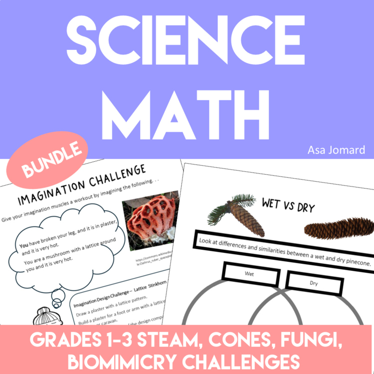 Inspiring Science Activities Bundle | Engaging Biomimicry Design Challenges