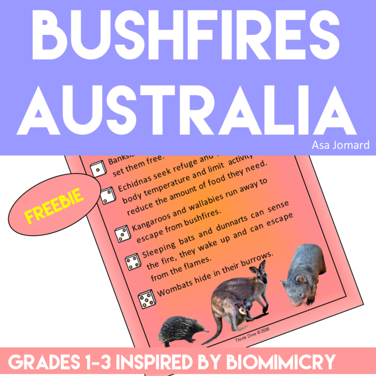 Bushfires Australia FREEBIE | Biomimicry Poster & Adaptation Discussion Starter