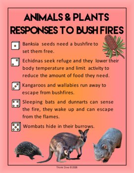 Bushfires Australia FREEBIE | Biomimicry Poster & Adaptation Discussion Starter, image 2