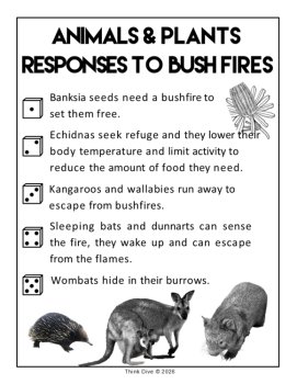 Bushfires Australia FREEBIE | Biomimicry Poster & Adaptation Discussion Starter, image 3
