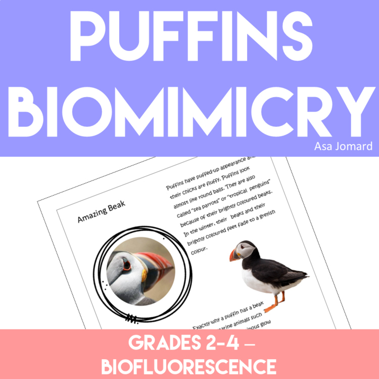 Inspiring Birds Puffin Project | Explore Bioflourescence and Biomimicry Design