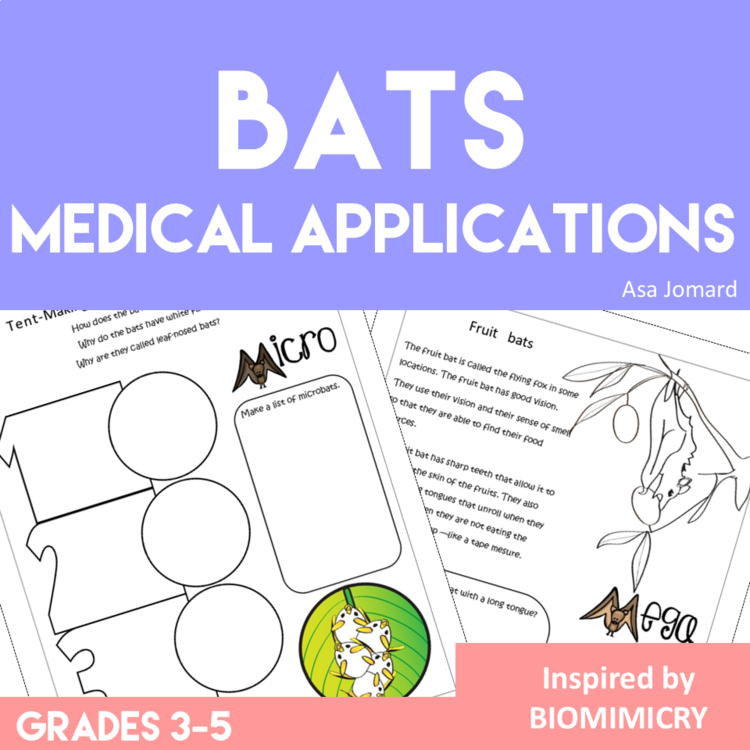 Unique Bat Activities with Engaging Medical Applications Biomimicry Challenges