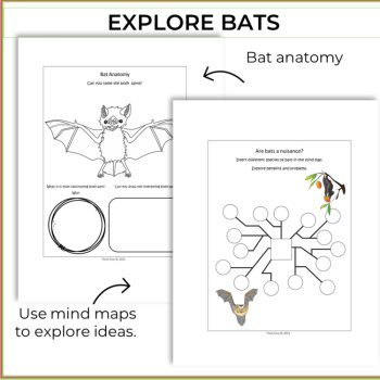 Unique Bat Activities with Engaging Medical Applications Biomimicry Challenges, image 3
