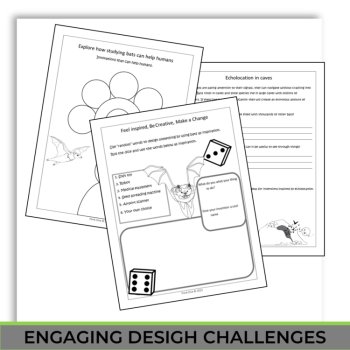 Unique Bat Activities with Engaging Medical Applications Biomimicry Challenges, image 4