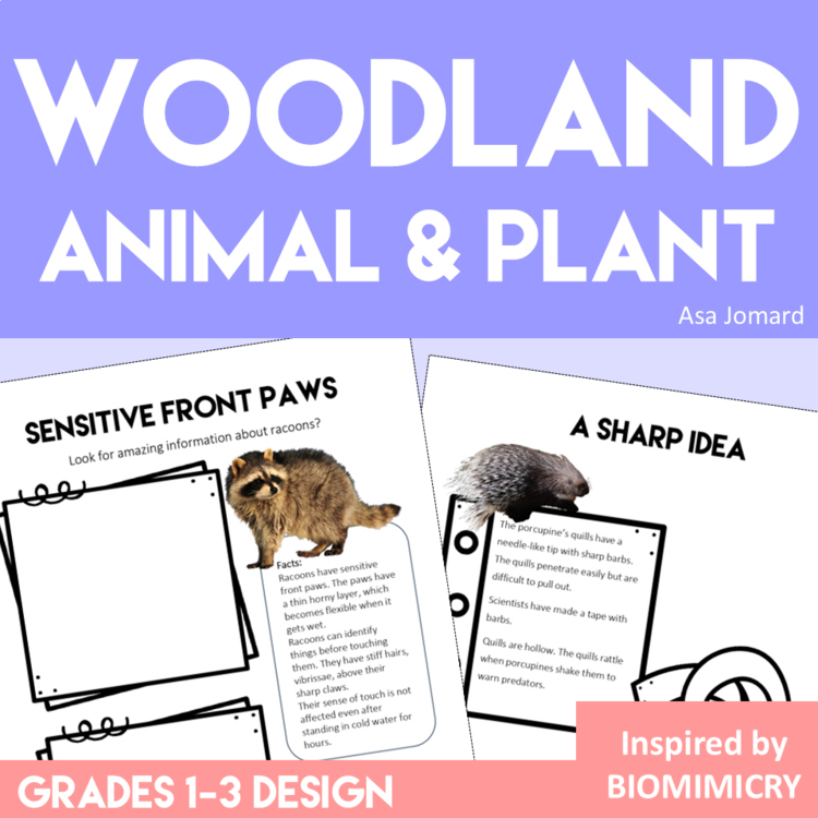 Woodland Animals & Plants Project | Biomimicry Design Activities 