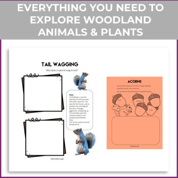 Woodland Animals & Plants Project | Biomimicry Design Activities , image 2