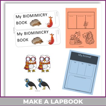 Woodland Animals & Plants Project | Biomimicry Design Activities , image 4