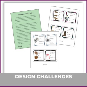 Engaging Analogies Nature Theme Task Cards, image 4