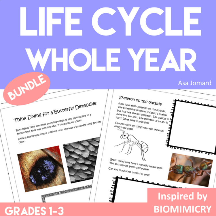 Unique Life Cycle Whole Year Bundle | Inspiring Biomimicry Design Thinking