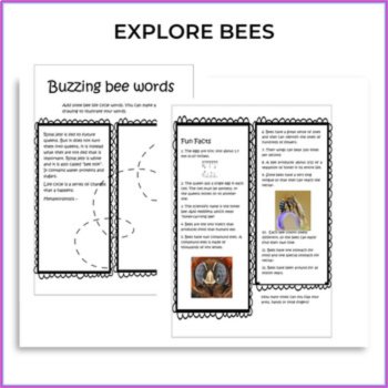 Unique Life Cycle Whole Year Bundle | Inspiring Biomimicry Design Thinking, image 3