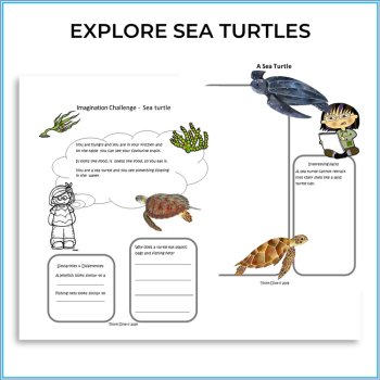 Engaging Plastic Pollution and  Sea Turtle Activities with Lapbook, image 2