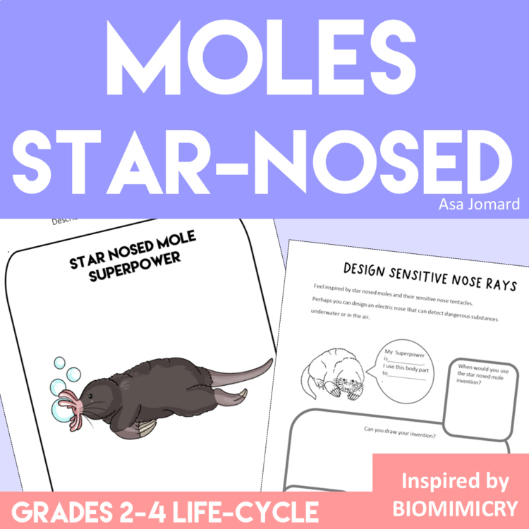 Engaging STEAM Moles & Star-Nosed Mole Life Cycle | Unique Biomimicry Projects