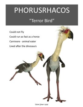 Inspiring Dinosaurs Posters | Engaging Interactive Notebook  Activities, image 2