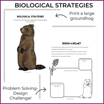 Engaging STEAM Groundhog Activities | Freebie | Unique Biomimicry Adventures, image 3
