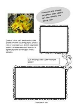 Spring Project Bundle | Lapbook |  Biomimicry Design Activities | Nonfiction, image 3