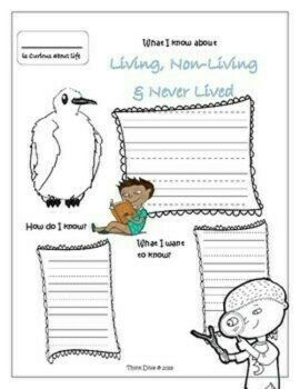 Unique and Engaging Living Non-Living Never Lived  Activities, image 3