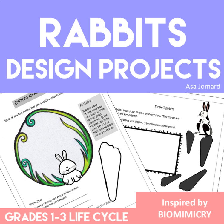 Engaging STEAM Rabbit Activities | Unique Biomimicry Design Adventures