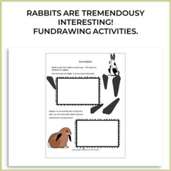 Engaging STEAM Rabbit Activities | Unique Biomimicry Design Adventures, image 2