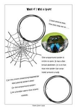 Engaging Spider Activities with Biomimicry Challenges for Fall and Halloween, image 2