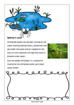 Engaging Spider Activities with Biomimicry Challenges for Fall and Halloween, image 4