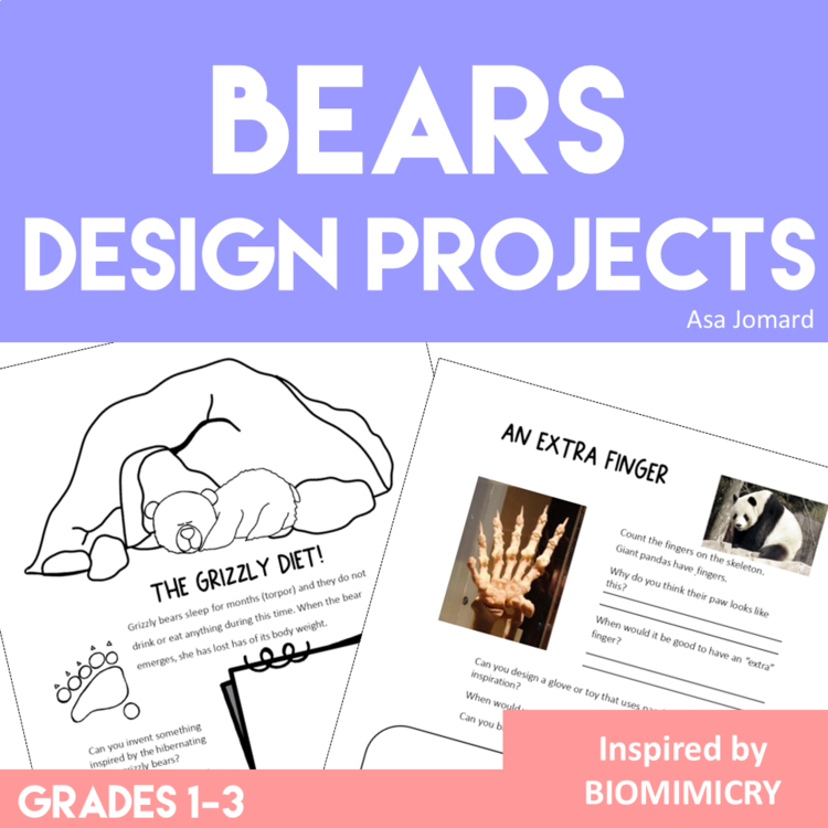 Unique Bear Activities | Engaging Biomimicry Design Challenges