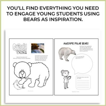 Unique Bear Activities | Engaging Biomimicry Design Challenges, image 2
