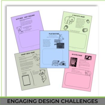 Unique Bear Activities | Engaging Biomimicry Design Challenges, image 4