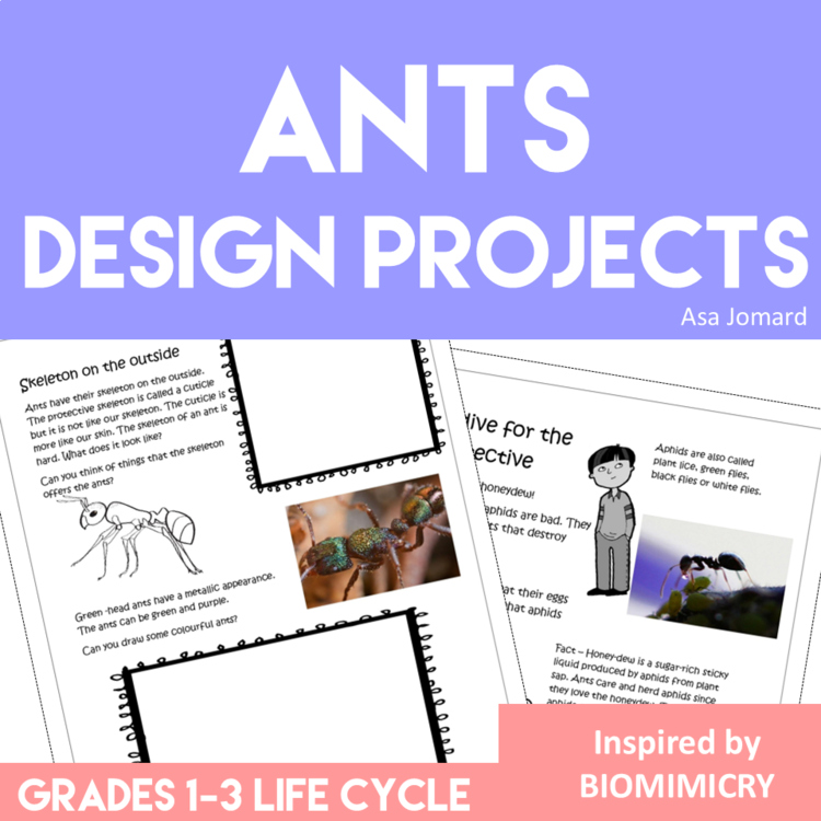 Engaging Ant Life Cycle Activities | Unique Biomimicry Design Thinking Projects
