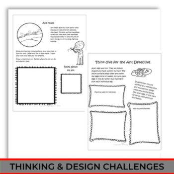 Engaging Ant Life Cycle Activities | Unique Biomimicry Design Thinking Projects, image 4
