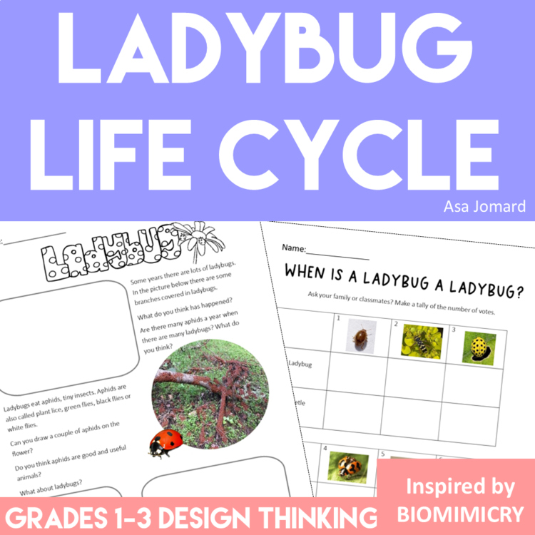 Inspiring Ladybug Life Cycle Activities | Unique  Biomimicry Design Thinking