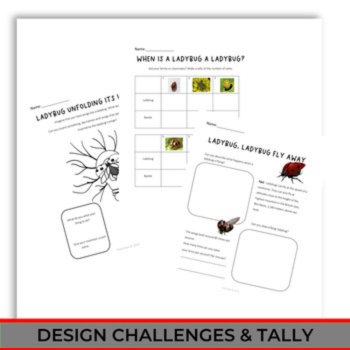 Inspiring Ladybug Life Cycle Activities | Unique  Biomimicry Design Thinking, image 4