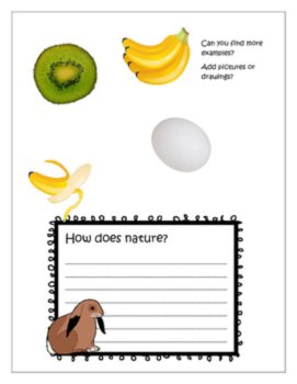 Easter Chocolate | PBL Unit Biomimicry Design Inspired by Nature, image 2