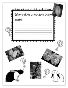Easter Chocolate | PBL Unit Biomimicry Design Inspired by Nature, image 4